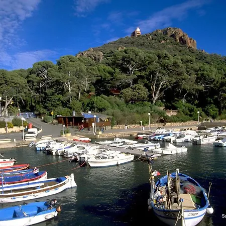 Апартаменты 3 Pieces A 200m Des Plages, St-raphael - Fr-1-226a-201